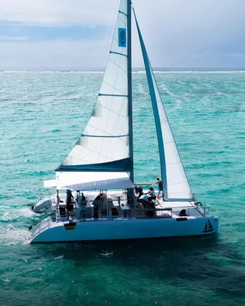 Catamaran Cruise to Ile aux Cerfs & GRSE Waterfall